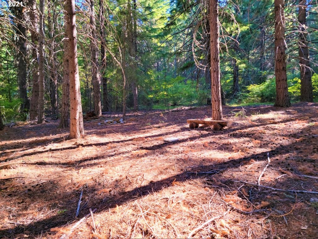 25 Chuckwagon Road Appleton, WA 98602 - Photo 8 of 27