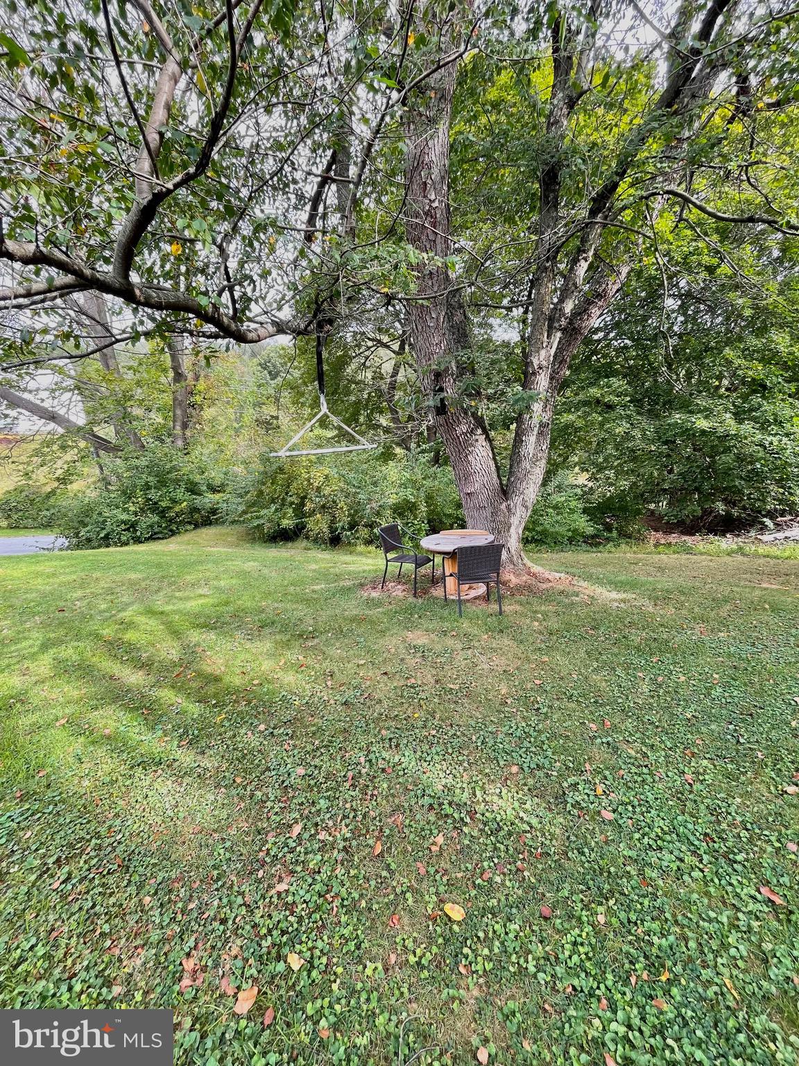 1 Valley View Road York, PA 17403 - Photo 37 of 40 a view of a park with large trees