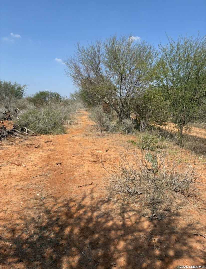 24 Cheyenne Hebbronville, TX 78361 - Photo 1 of 11 a view of a yard with an trees