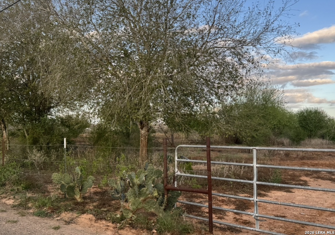 24 Cheyenne Hebbronville, TX 78361 - Photo 9 of 11 a view of a wooden fence and trees