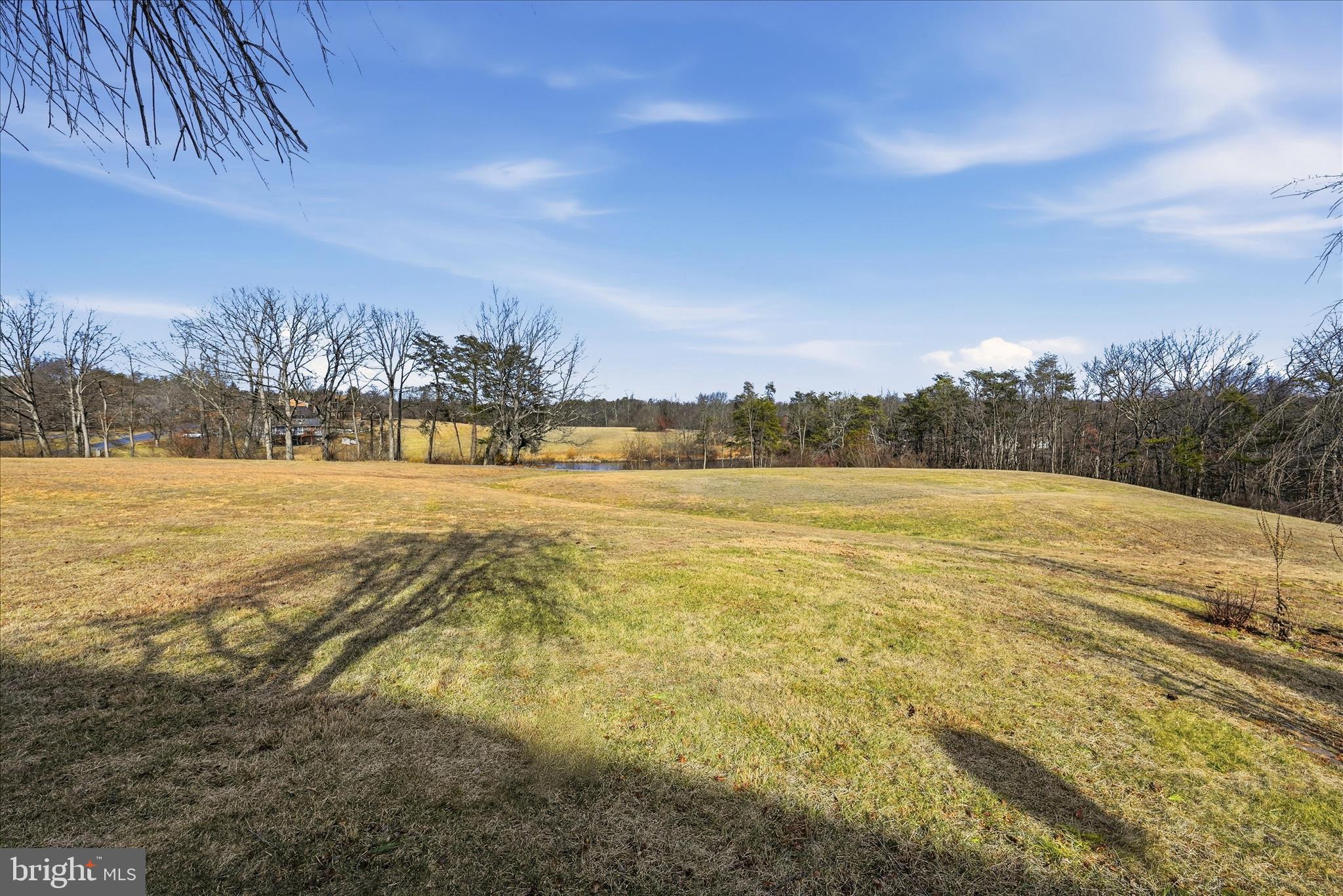 101 Putter Place Cross Junction, VA 22625 - Photo 33 of 46 Backyard