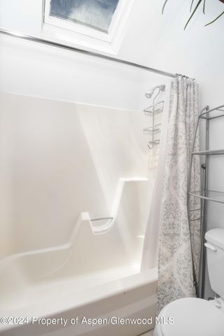 a bathroom with a shower and a toilet