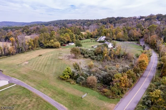 a view of a city with a forest