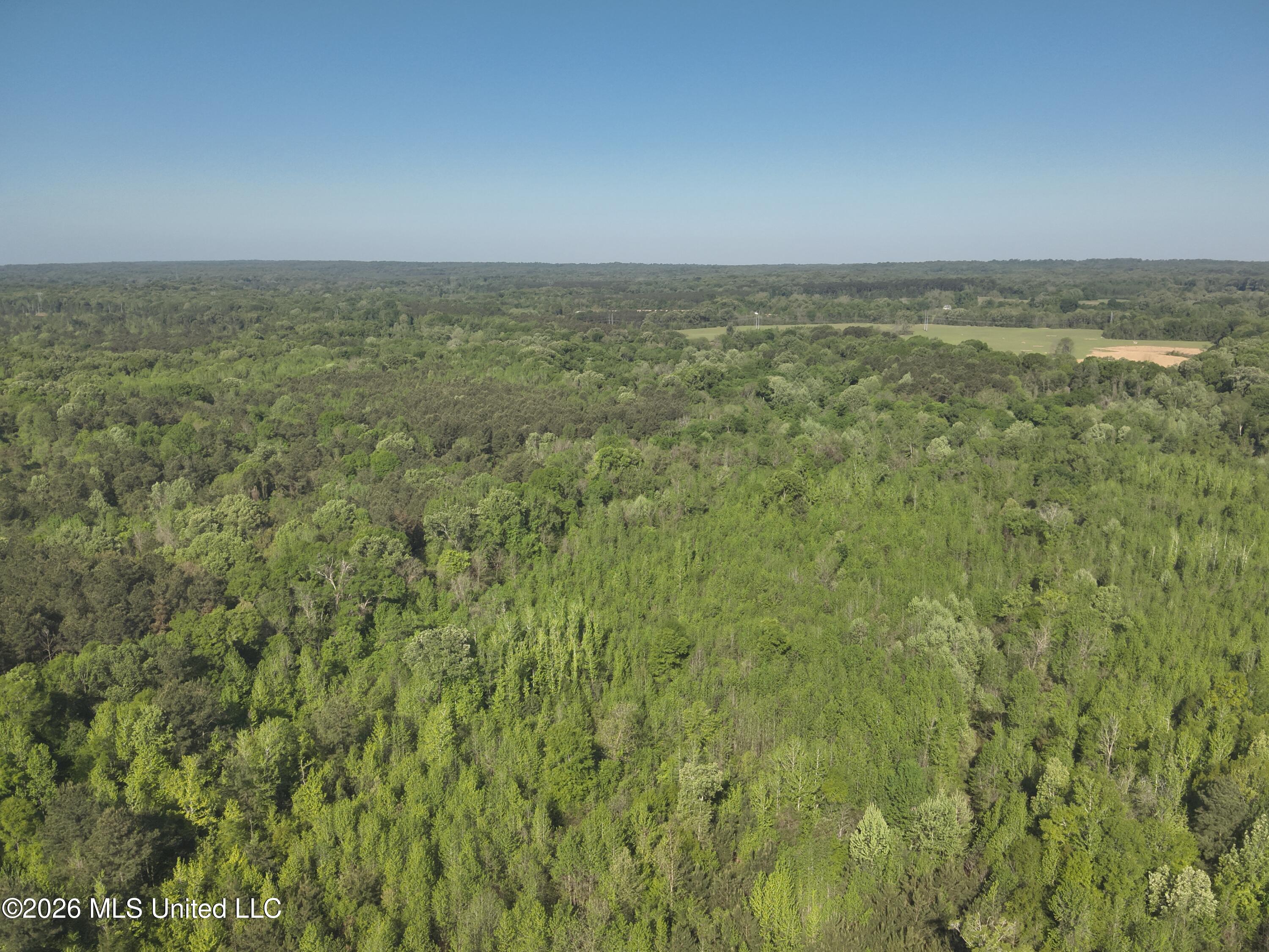 1060 Pearline Bailey Rd Port Port Gibson, MS 39150 - Photo 57 of 63 DJI_20260409093430_0001_V