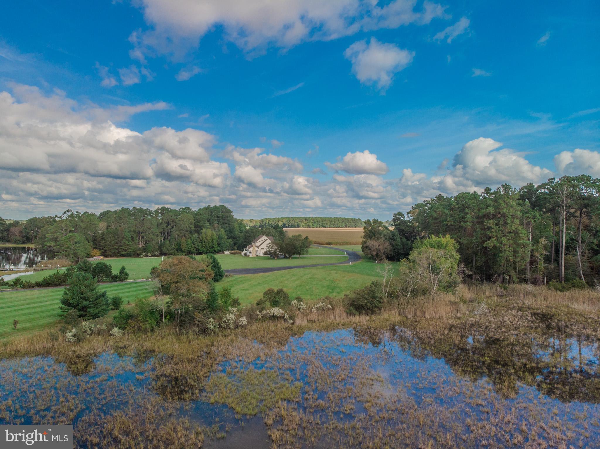 12465 Mallard Landing Road Princess Anne, MD 21853 - Photo 13 of 15 a view of a big yard with potted plants and mountain view