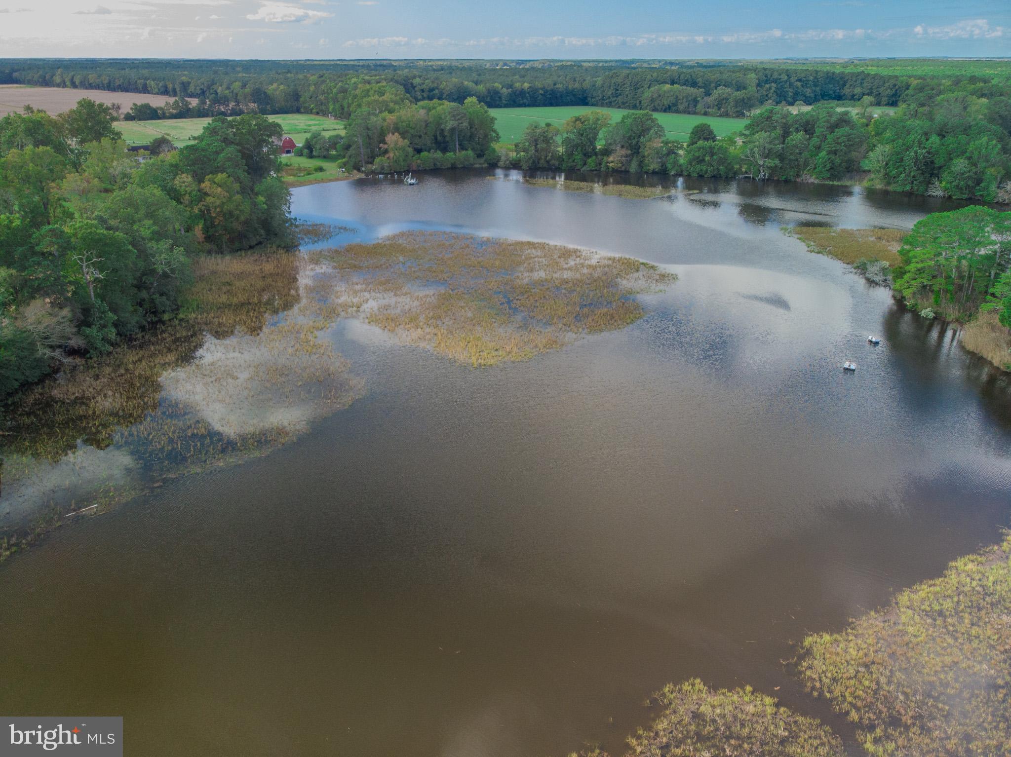 12465 Mallard Landing Road Princess Anne, MD 21853 - Photo 14 of 15 a view of a lake with trees by side of it
