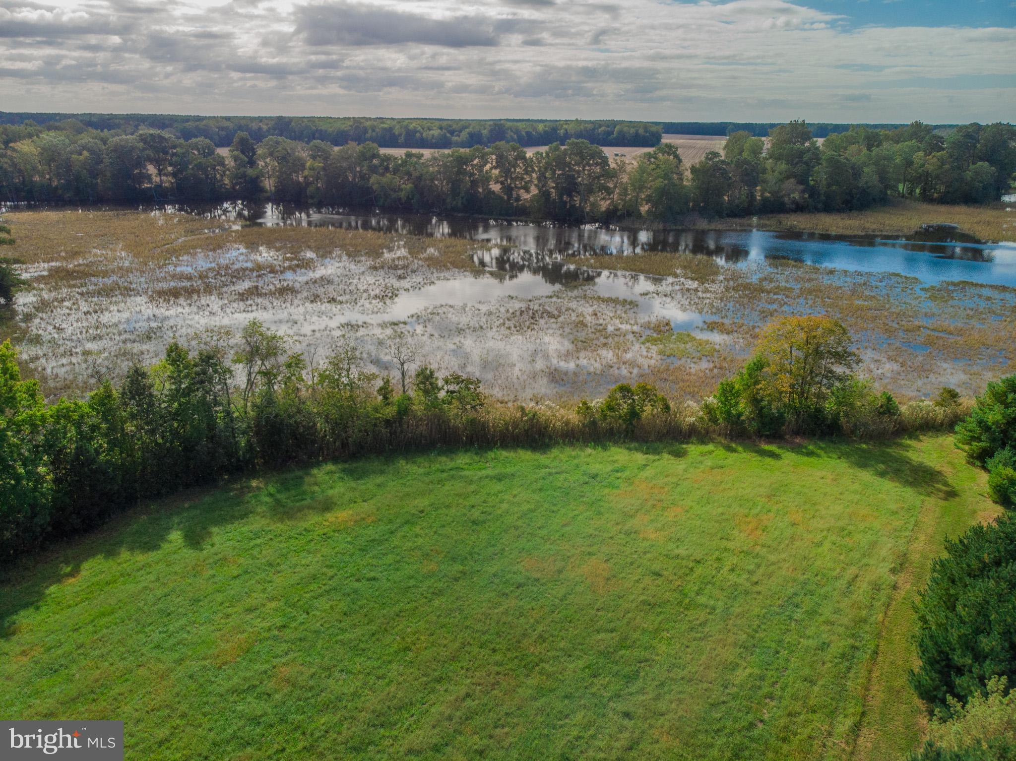 12465 Mallard Landing Road Princess Anne, MD 21853 - Photo 6 of 15 a view of a lake