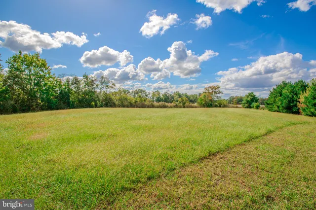 a view of a big yard with swimming pool and green space
