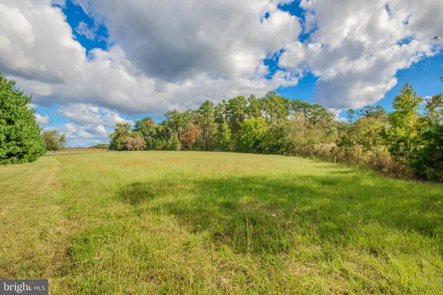 a view of a lake with a yard