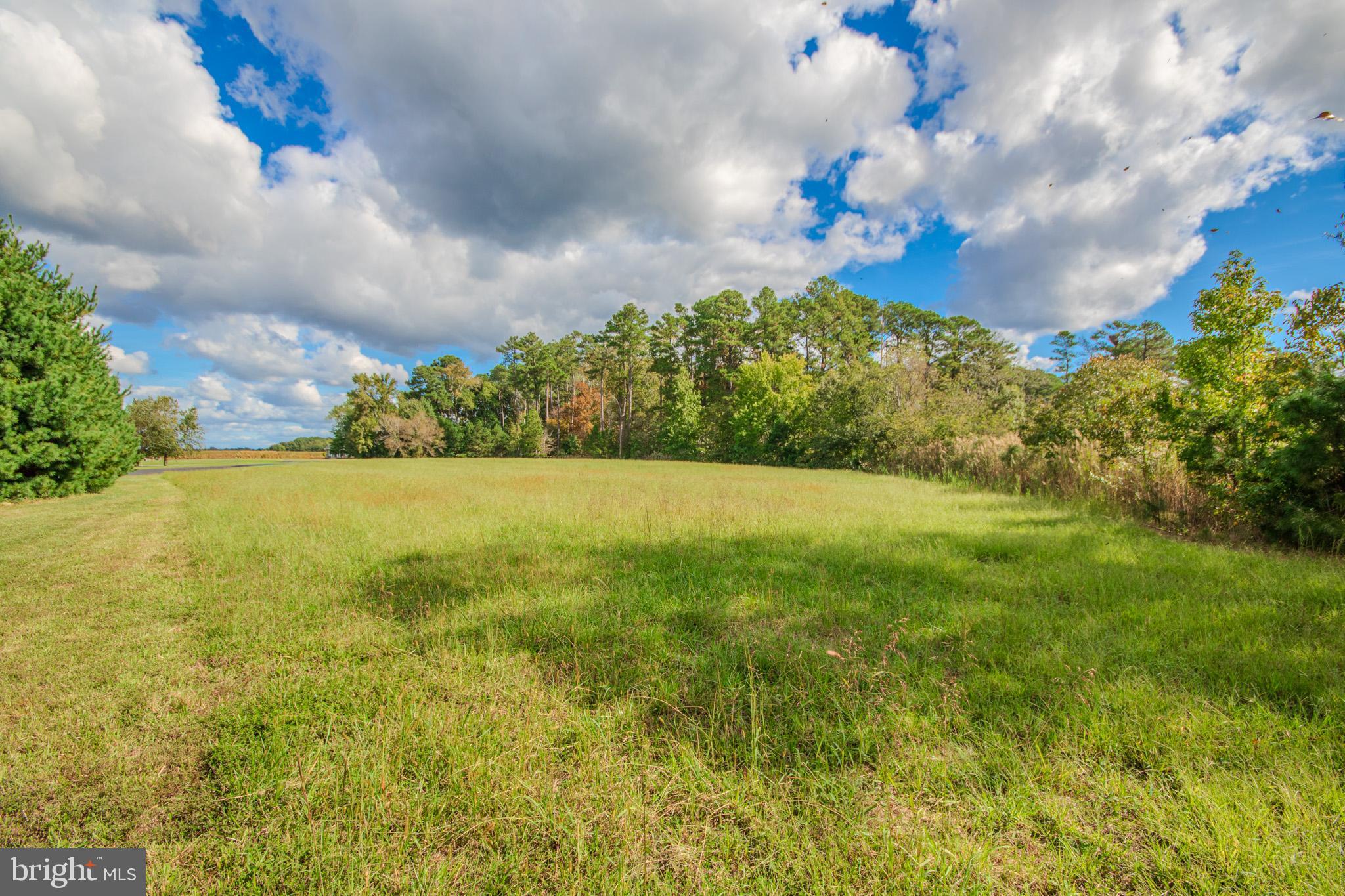 12465 Mallard Landing Road Princess Anne, MD 21853 - Photo 8 of 15 a view of a lake with a yard
