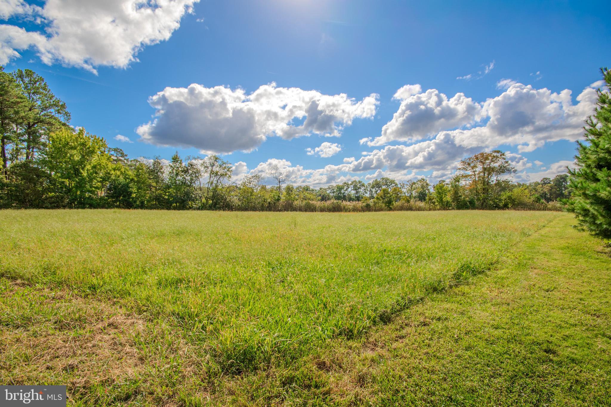 12465 Mallard Landing Road Princess Anne, MD 21853 - Photo 9 of 15 a view of an ocean and beach