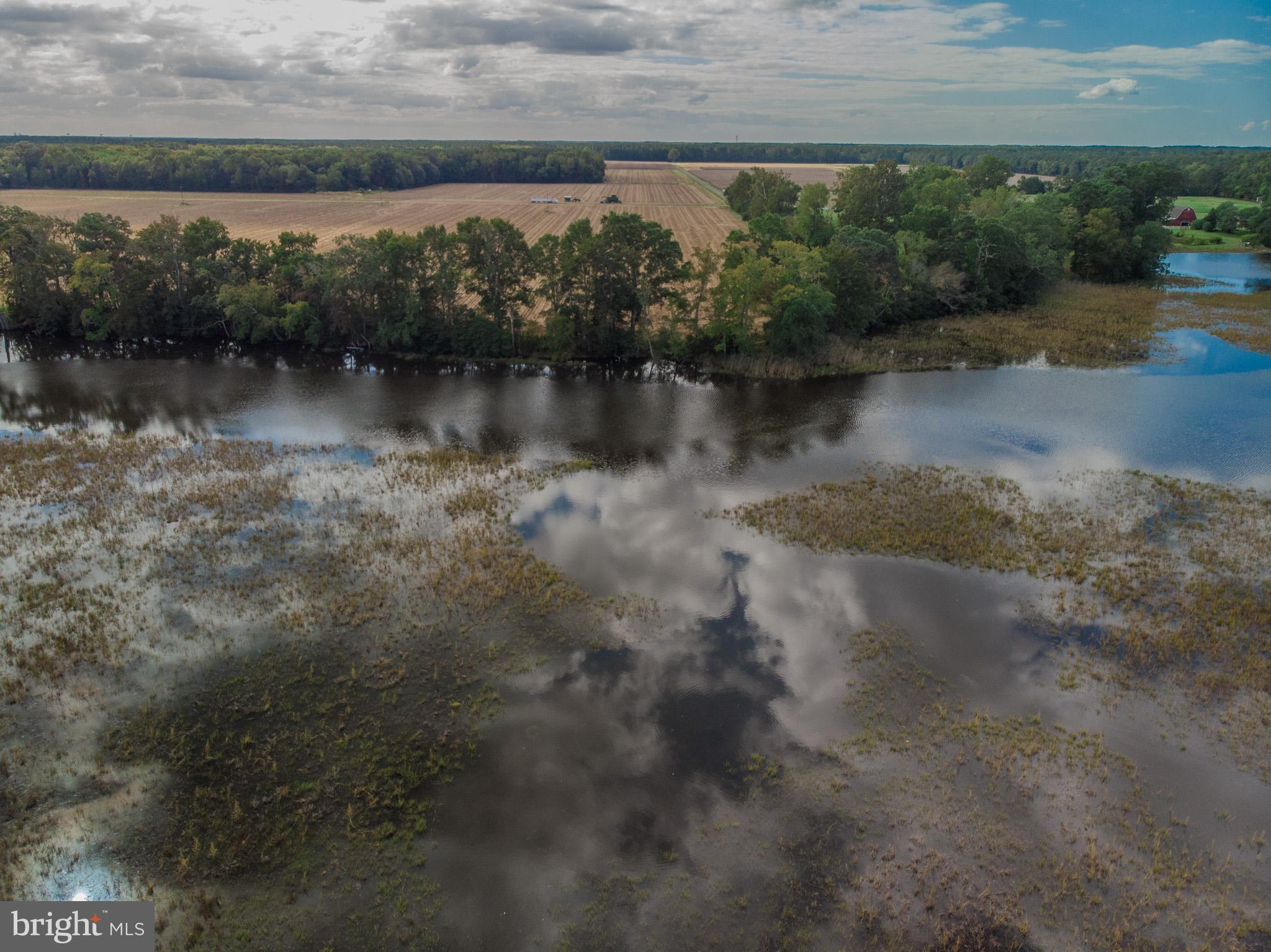 12465 Mallard Landing Road Princess Anne, MD 21853 - Photo 10 of 15 a view of a lake with a mountain