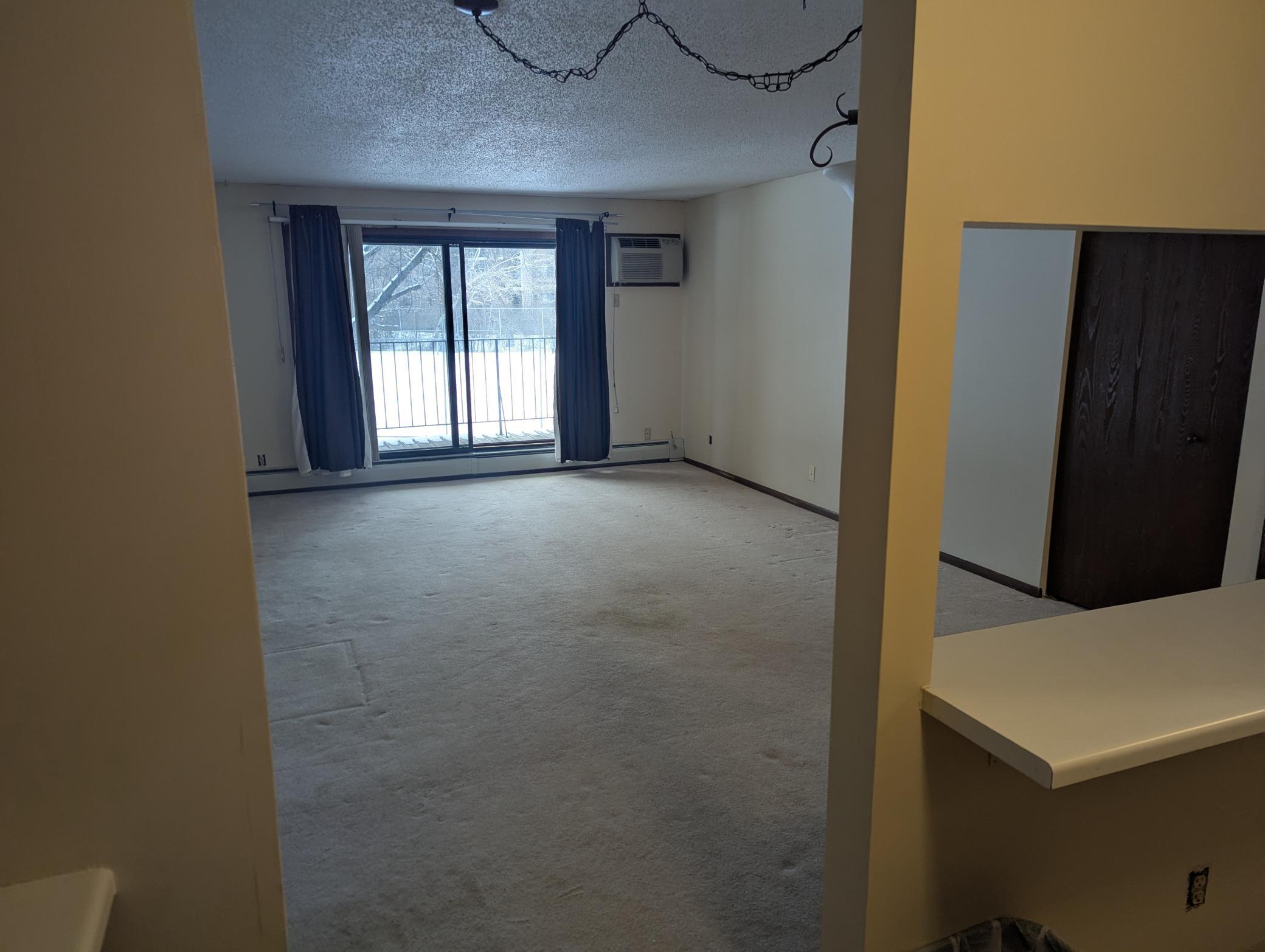 10451 Greenbrier Road, Unit 115 Minnetonka, MN 55305 - Photo 4 of 10