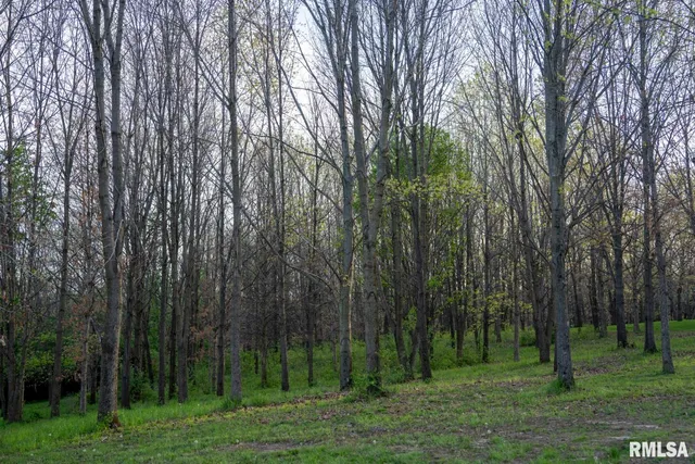 $599,000 | 1865 Gravel Springs Circle, Jacksonville, IL 62650