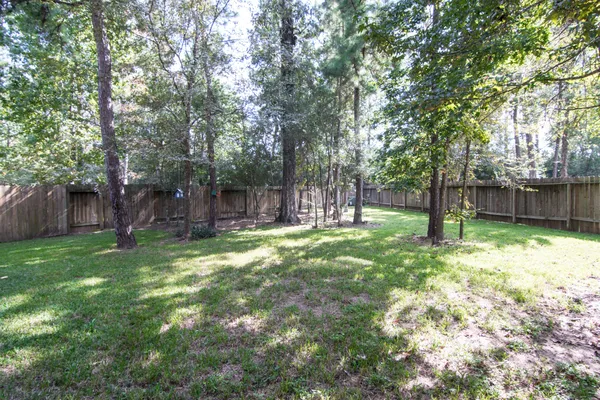 a view of a yard with a large tree and a large tree