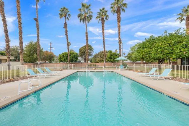 a view of a swimming pool with a lawn chairs and palm tree