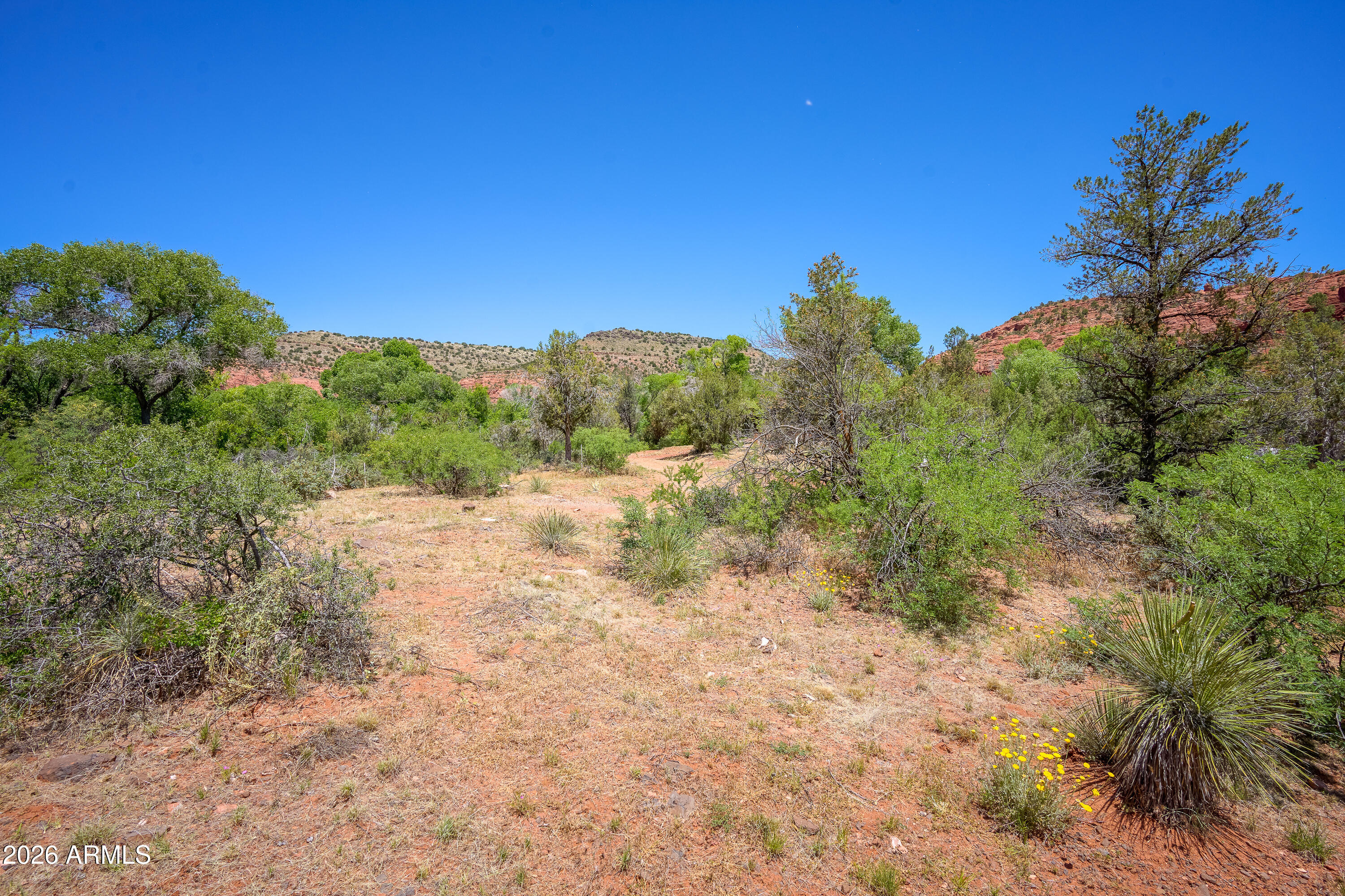 3155 Red Rock Loop Road, Unit 1 Sedona, AZ 86336 - Photo 12 of 18 a view of a yard with a tree