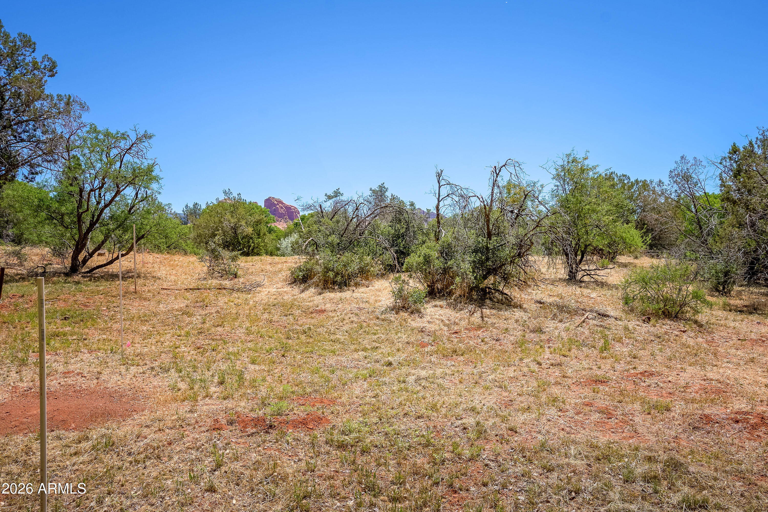 3155 Red Rock Loop Road, Unit 1 Sedona, AZ 86336 - Photo 16 of 18 a view of a yard with a tree