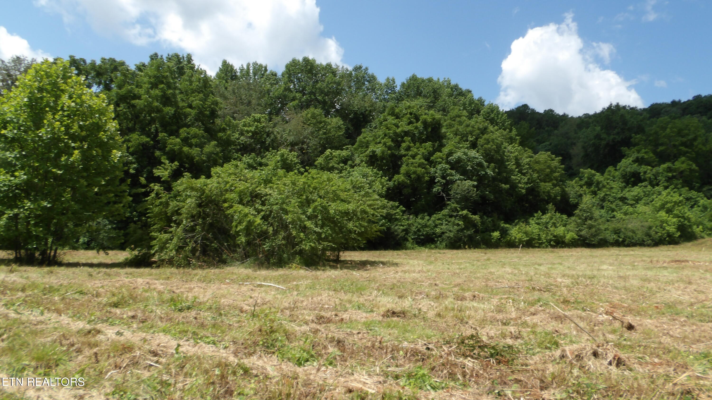5.6-ac Lonnie Reecer Road Celina, TN 38551 - Photo 32 of 47 100_0069