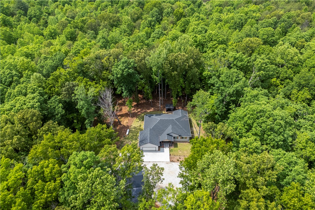 325 Falcons Nest Road Walhalla, SC 29691 - Photo 50 of 50