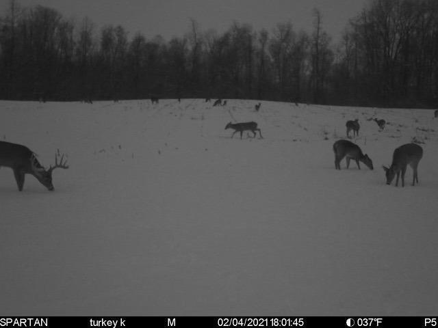 0 Blue Road Mount Vernon, OH 43050 - Photo 22 of 24