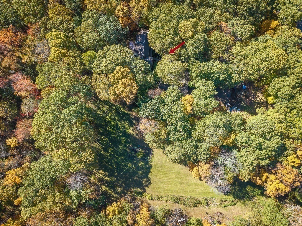 8 Mill Road Ipswich, MA 01938 - Photo 9 of 38 a view of a yard with a tree