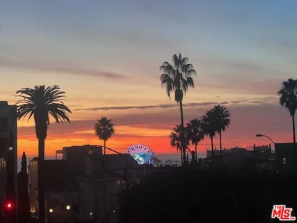 a view of ocean with a palm trees