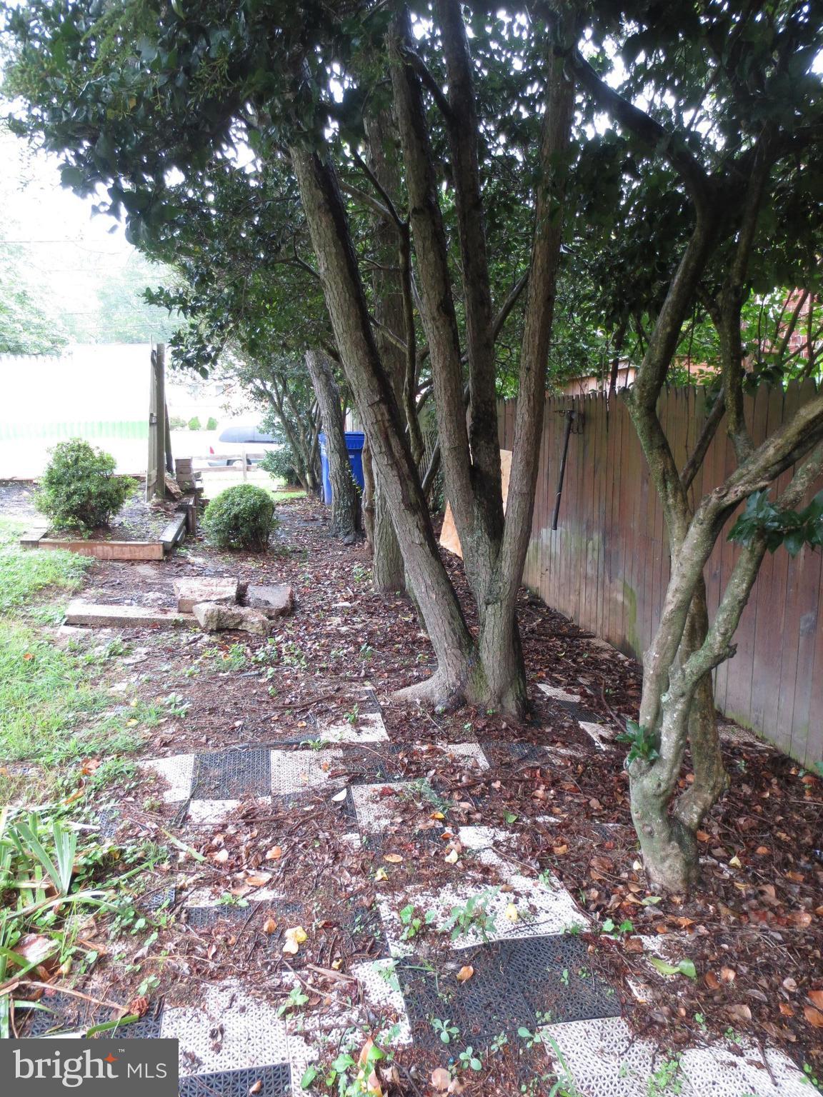 3705 May Street Silver Spring, MD 20906 - Photo 25 of 27 a backyard of a house with lots of green space