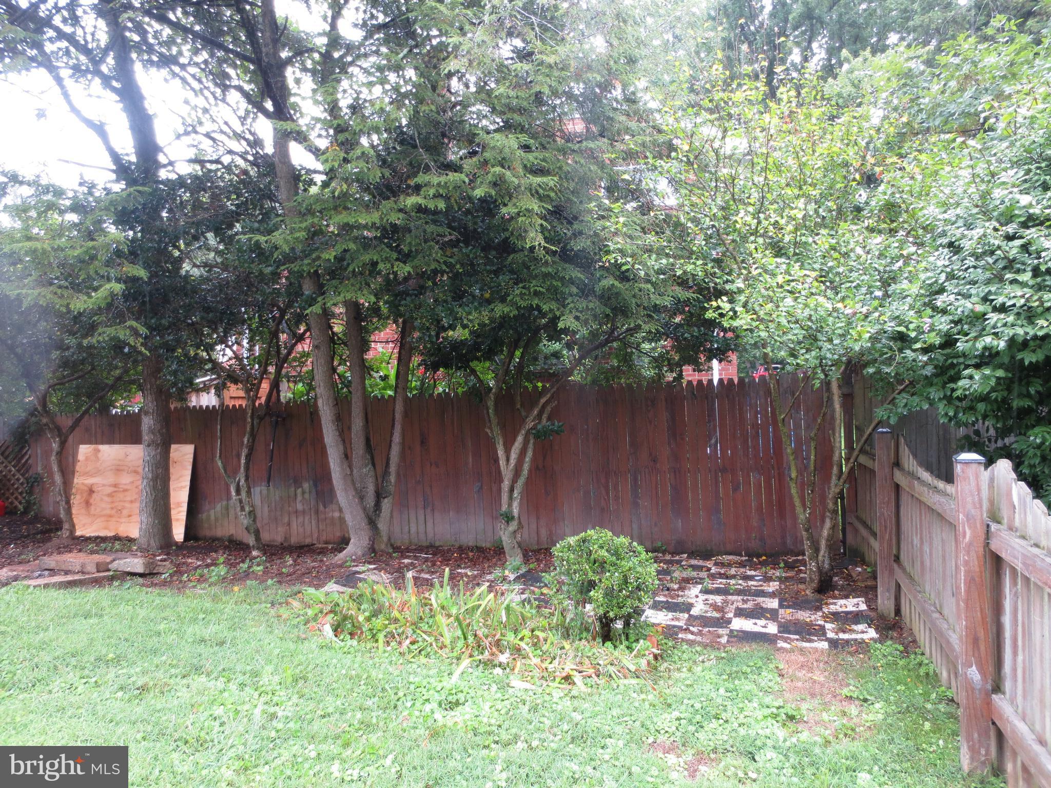 3705 May Street Silver Spring, MD 20906 - Photo 26 of 27 a view of backyard with wooden fence and large trees