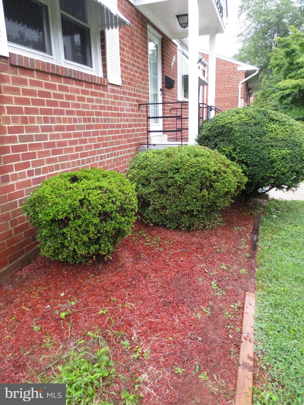 3705 May Street Silver Spring, MD 20906 - Photo 27 of 27 a view of a backyard with plants and large trees