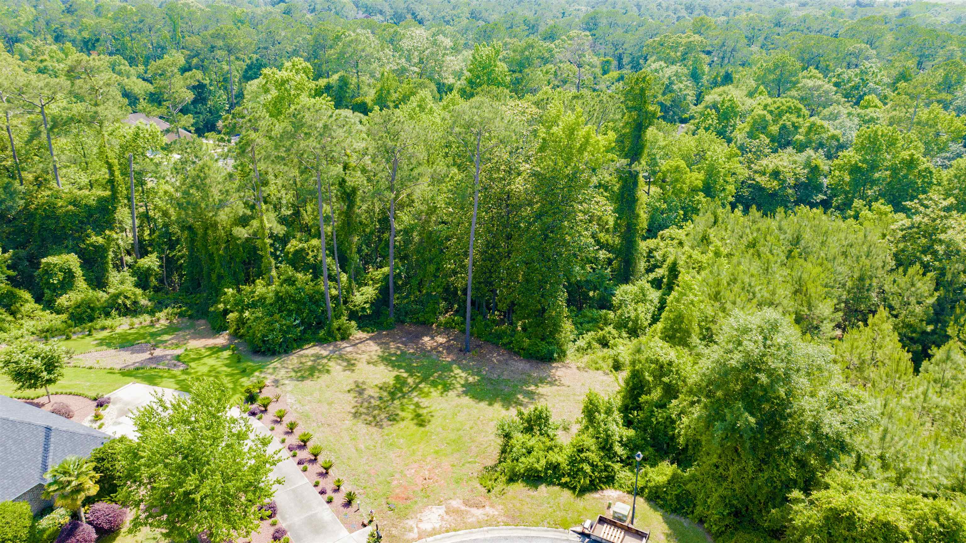 9 Judd Trail Daphne, AL 36527 - Photo 6 of 13