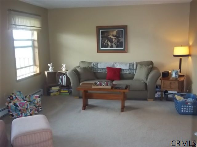 560 Mineral Springs Road Cobleskill, NY 12043 - Photo 7 of 10 Photo 7