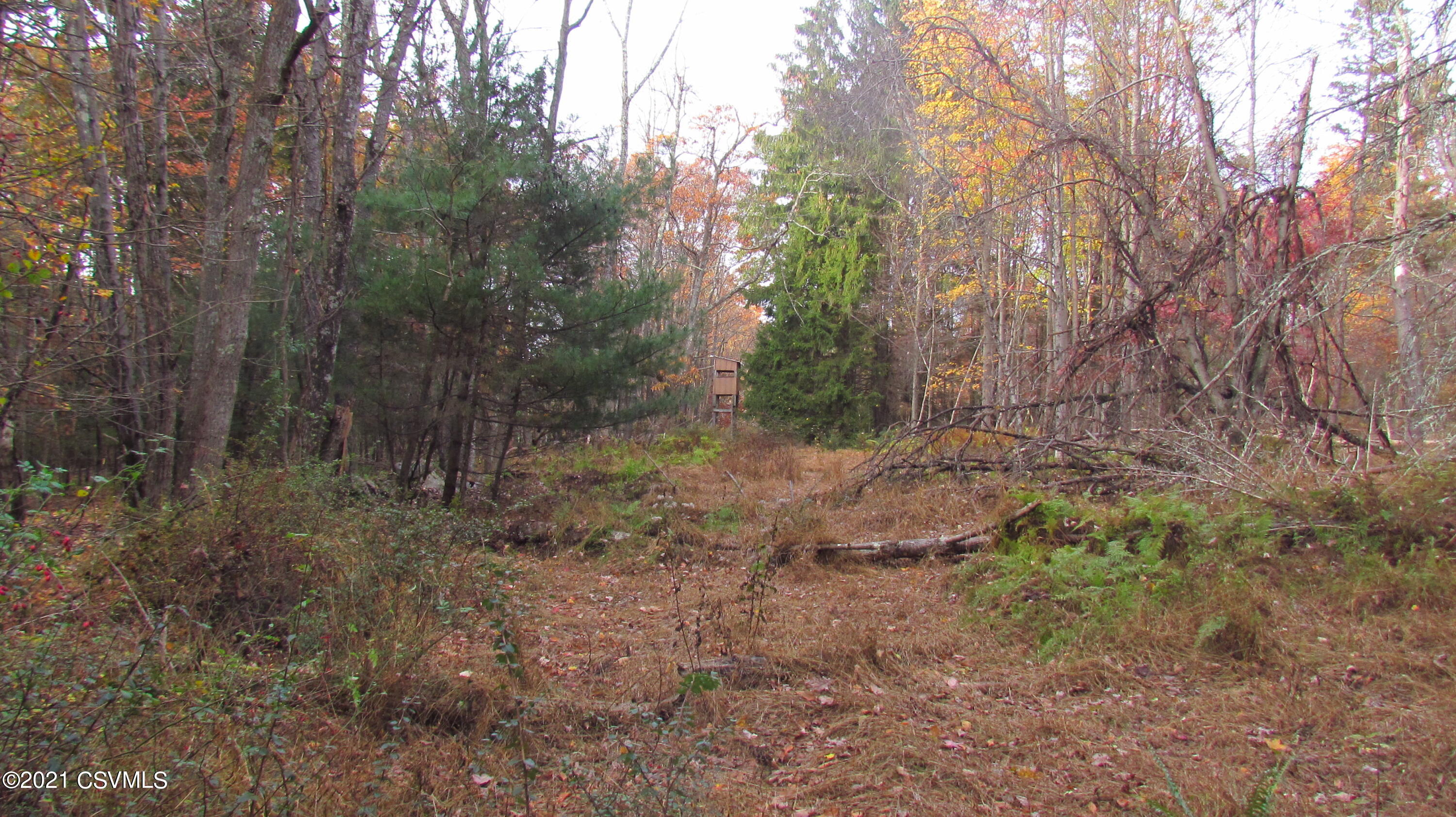 Rakich Road Benton, PA 17814 - Photo 9 of 12