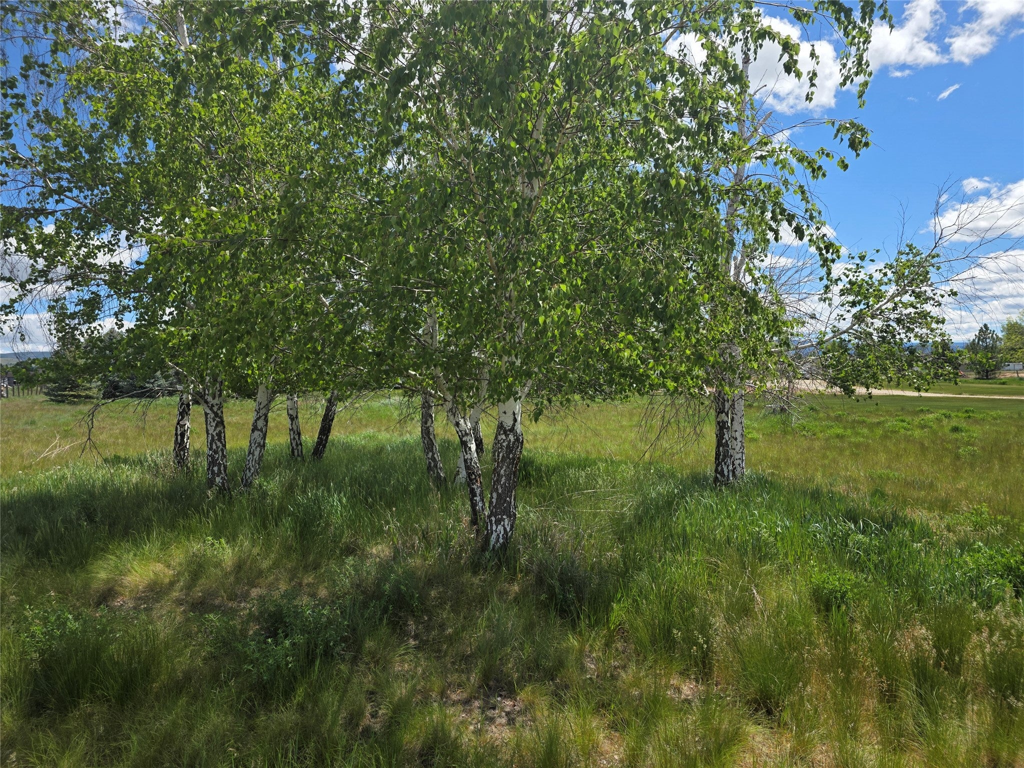 237 8 Mile Creek Road Florence, MT 59833 - Photo 52 of 60 Gallery Image 52
