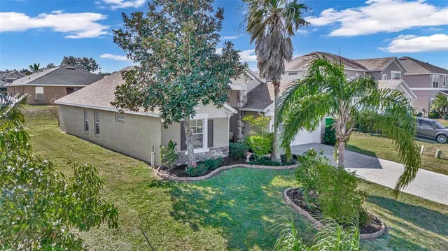 a view of backyard with potted plants and a large tree
