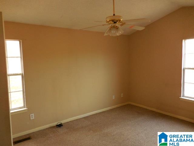 7060 Old Springville Road Pinson, AL 35126 - Photo 7 of 14