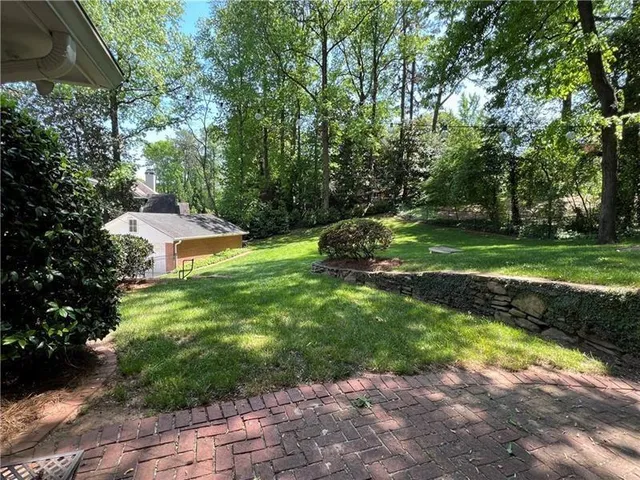 a view of a park that has large trees and plants