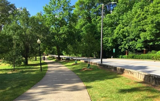a view of a park with large trees