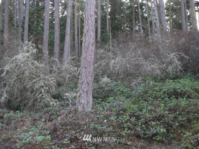 9999 Tanager Lane Sequim, WA 98382 - Photo 2 of 4 Gallery Image 2
