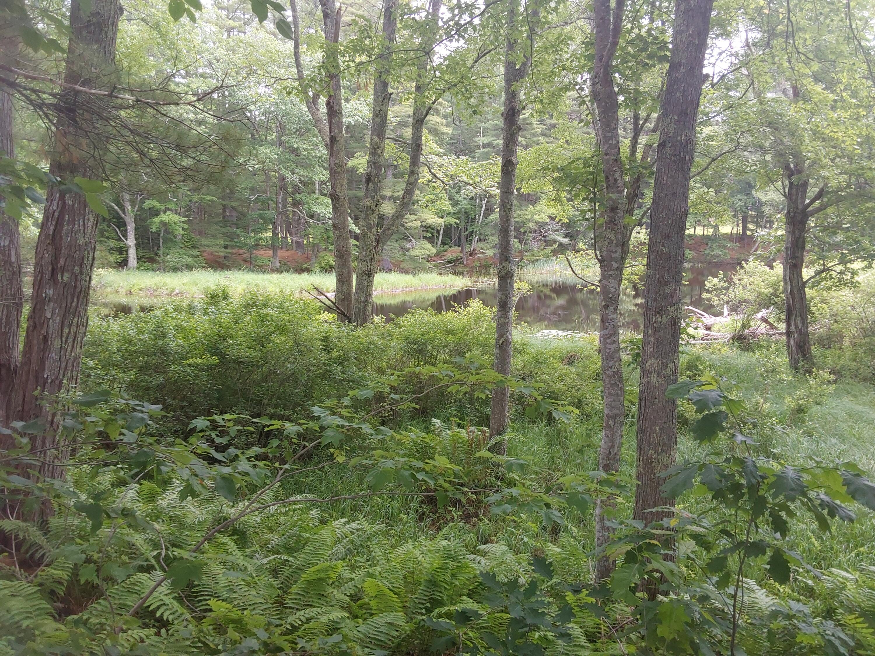 0 Carleton Drive Jefferson, ME 04348 - Photo 3 of 3 20230619_104232