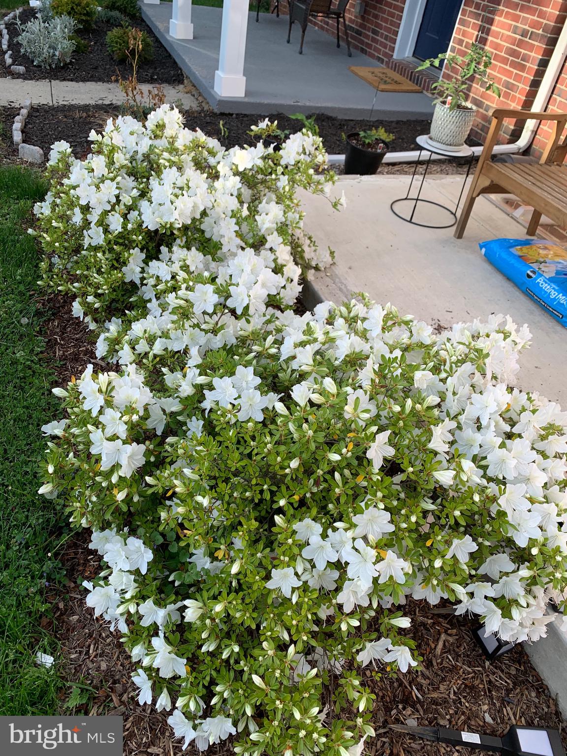 3609 Ednor Road Baltimore, MD 21218 - Photo 32 of 35