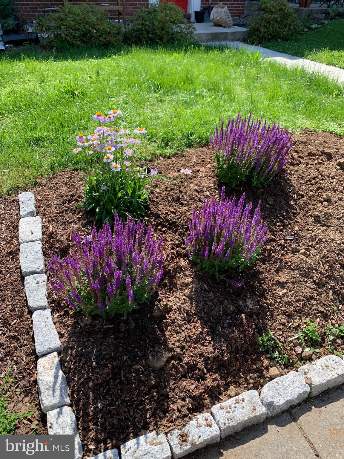 3609 Ednor Road Baltimore, MD 21218 - Photo 33 of 35