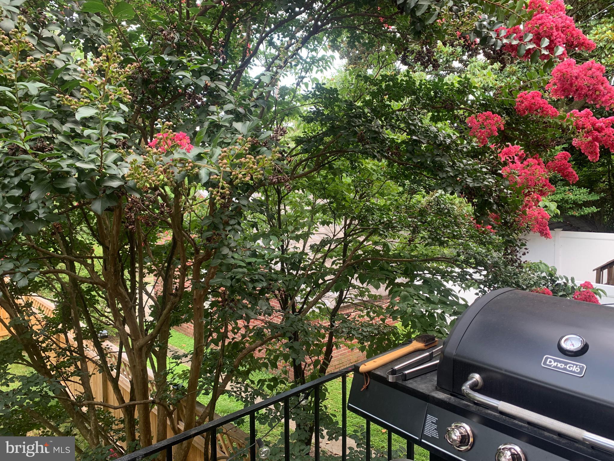 3609 Ednor Road Baltimore, MD 21218 - Photo 34 of 35