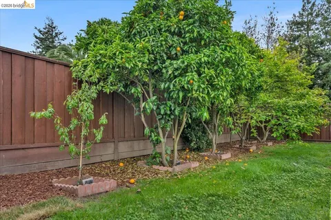 a backyard of a house with plants and wooden fence