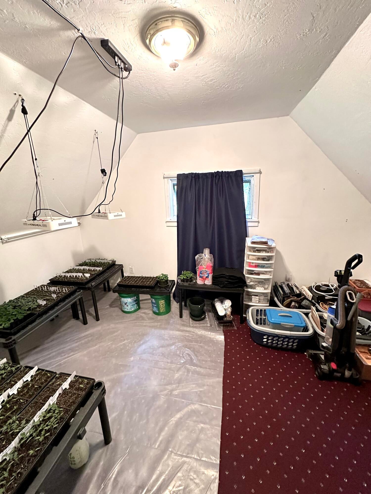 9090 Strilecky Road Atlanta, MI 49709 - Photo 24 of 55 Gallery Image 24
