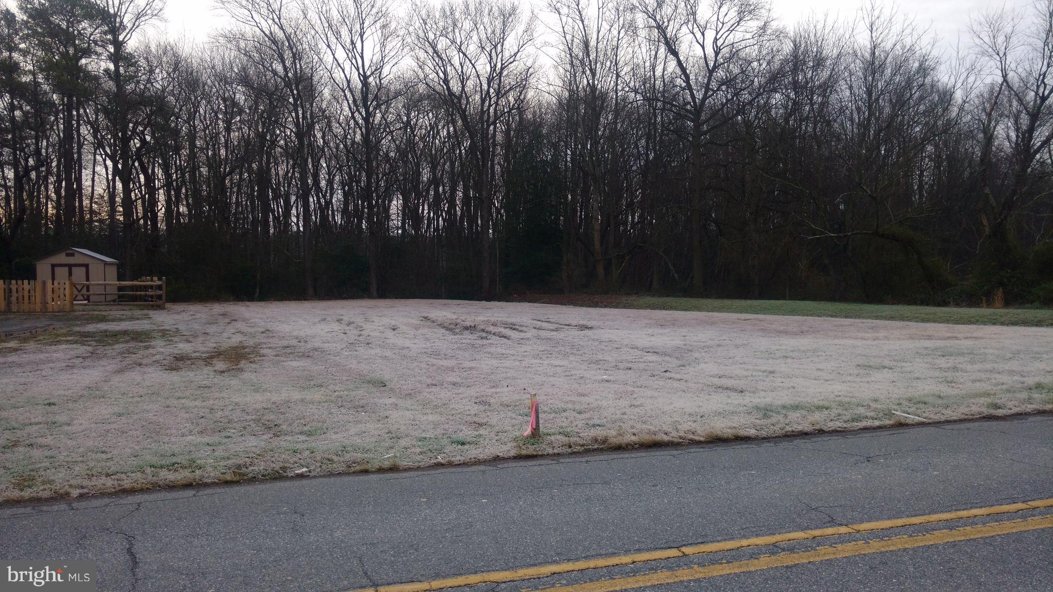 0 Old Stage Road Delmar, MD 21875 - Photo 1 of 1 a view of a backyard of the house