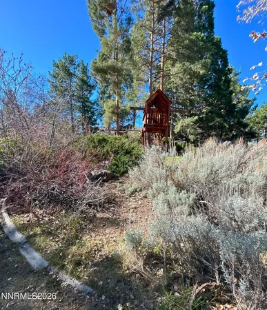 a street view with large trees