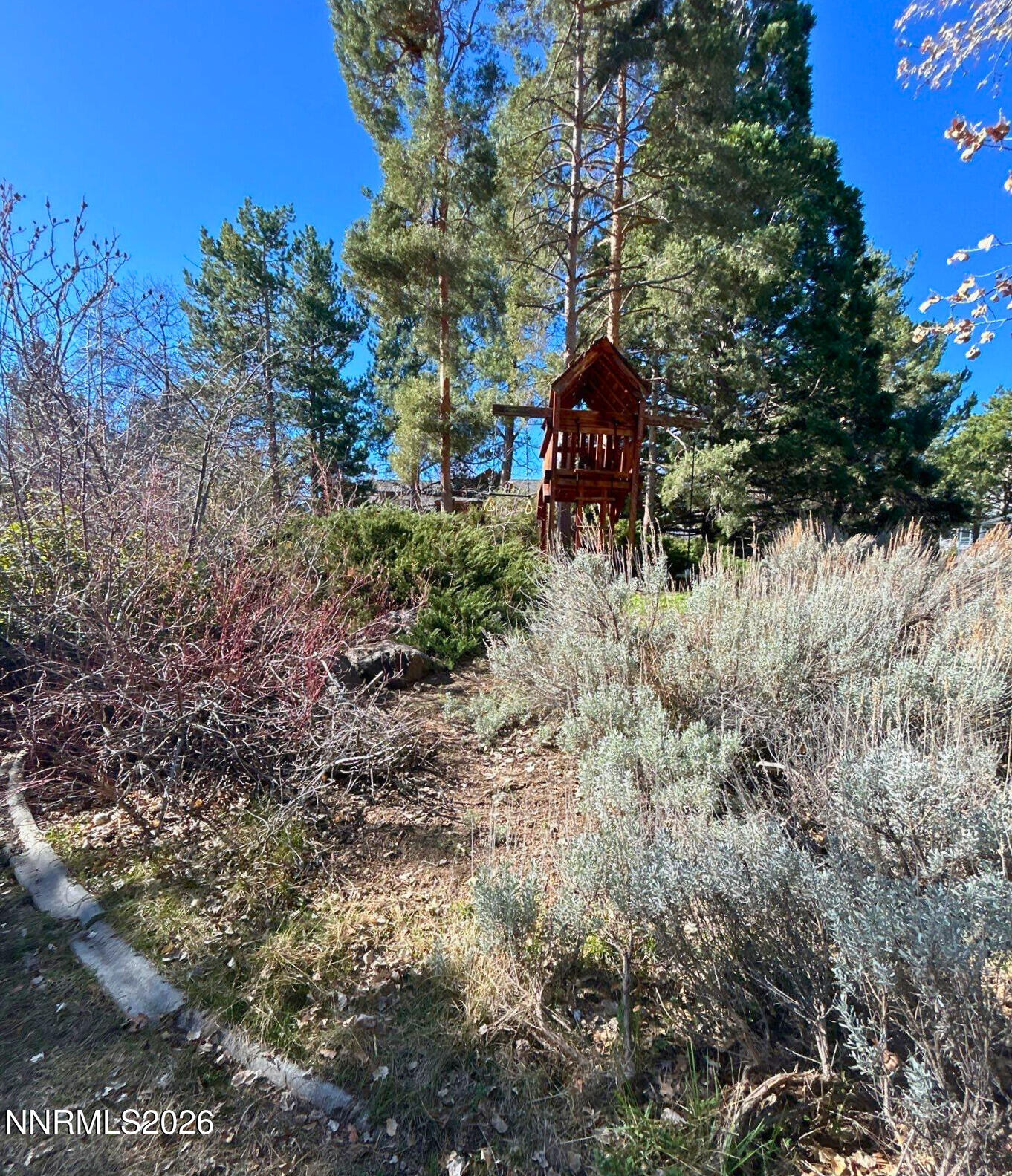 2795 West Lake Ridge Reno, NV 89519 - Photo 27 of 31 a backyard of a house with lots of green space