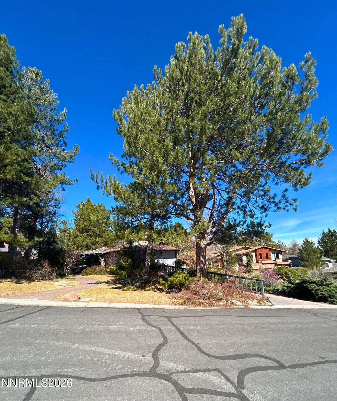 2795 West Lake Ridge Reno, NV 89519 - Photo 28 of 31 a street view with large trees