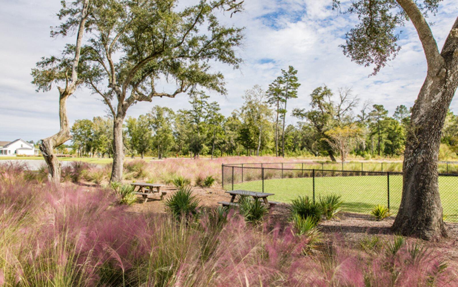 108 River Wind Way Ridgeville, SC 29472 - Photo 22 of 29 dog park